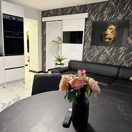 Appartement Leon, Town Centre With Private Garage!